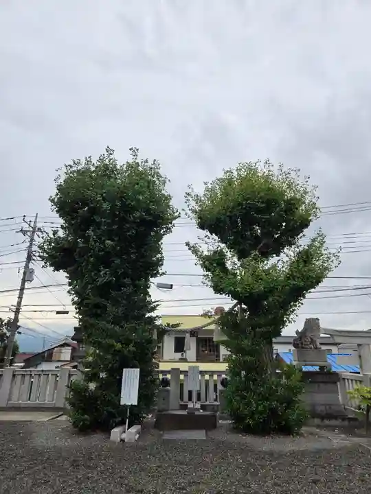 甲斐奈神社(山梨県)
