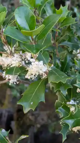 隨心院（随心院）(京都府)