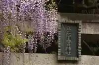 春日神社の鳥居