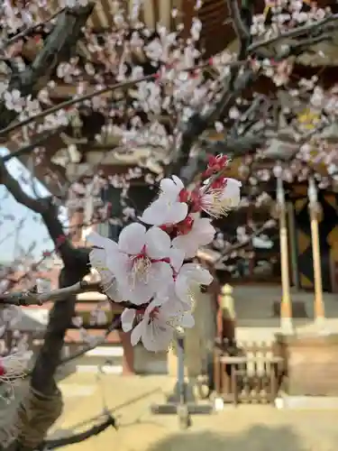 諏訪神社の自然