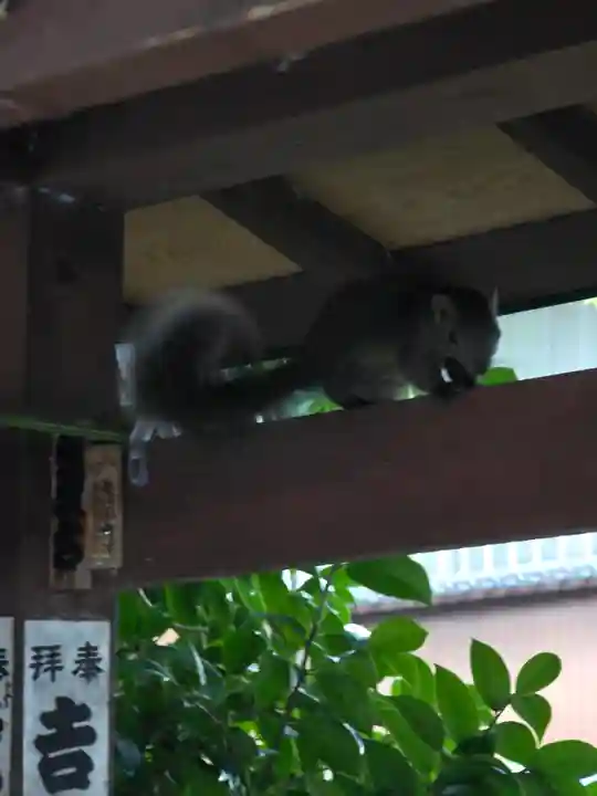 音無神社(静岡県)