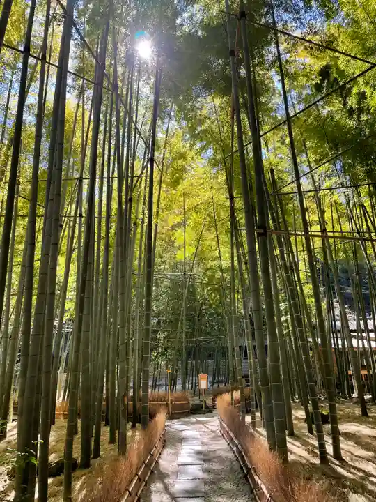 報国寺(神奈川県)