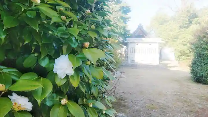 八幡社(大塚八幡社)の景色