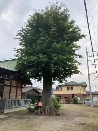真田神社(神奈川県)