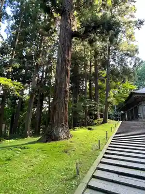 中尊寺金色堂(岩手県)