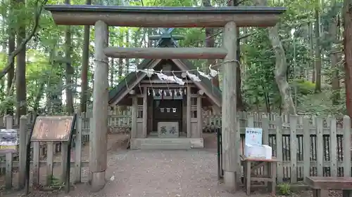 宝登山神社の鳥居