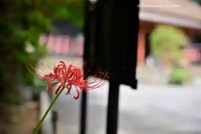 宝城坊(神奈川県)
