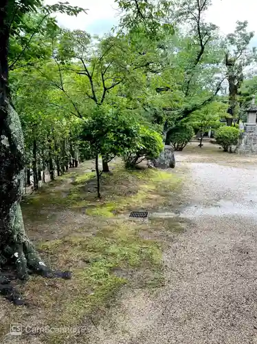 大龍寺(大阪府)