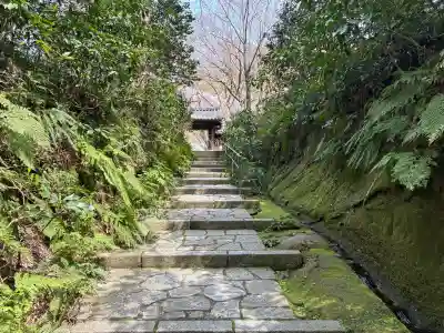 瑞泉寺の{uncategorized: "未分類", other: "その他", undefined: "問題あり", building: "その他建物", grave: "お墓", sacred_gate: "鳥居", guardian: "狛犬", statue: "像", buddha: "仏像", history: "歴史", nature: "自然", garden: "庭園", animal: "動物", pagoda: "塔", temizu: "手水舎", mountain_gate: "山門・神門", sanctuary: "本殿・本堂", subordinate: "末社・摂社", art: "芸術", scenery: "景色", jizo: "地蔵", ema: "絵馬", goshuin: "御朱印", omikuji: "おみくじ", items: "授与品その他", amulet: "お守り", goshuincho: "御朱印帳", eats: "食事", festival: "お祭り", votive_dance: "神楽", shichigosan: "七五三参", wedding: "結婚式", experience: "体験その他", initially: "初詣", around: "周辺", anti_infection: "感染症対策"}