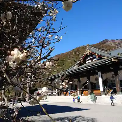 久遠寺の本殿・本堂