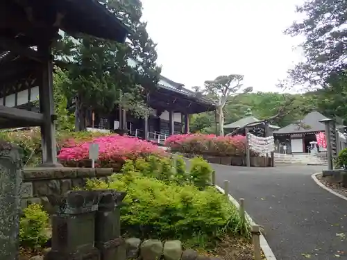 時宗総本山 遊行寺（正式：清浄光寺）(神奈川県)