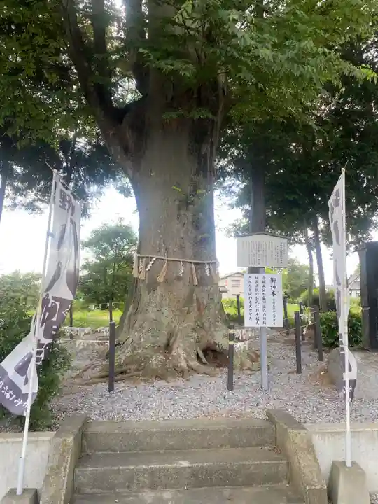薬師寺八幡宮(栃木県)