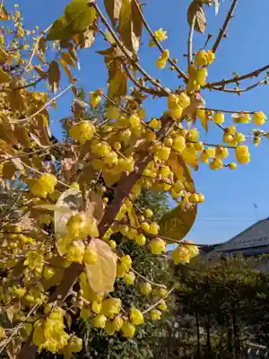北野神社(東京都)
