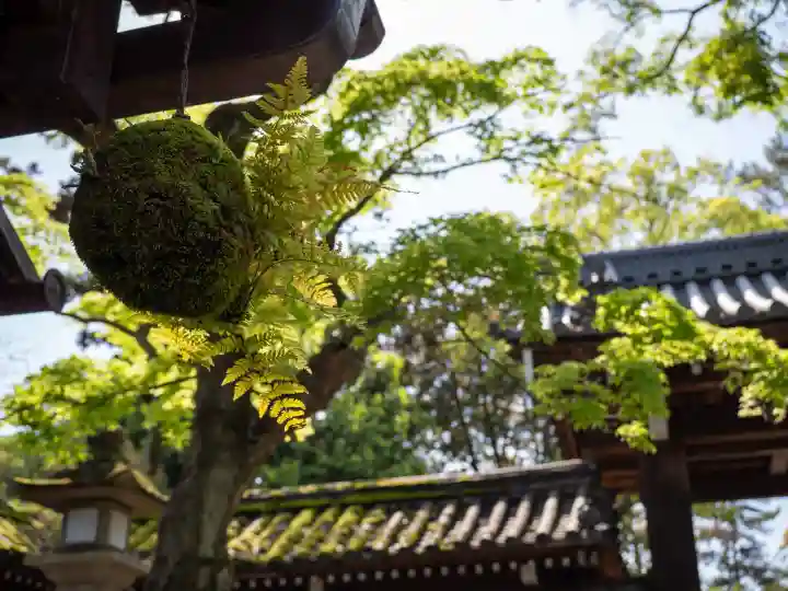 今宮神社の{uncategorized: "未分類", other: "その他", undefined: "問題あり", building: "その他建物", grave: "お墓", sacred_gate: "鳥居", guardian: "狛犬", statue: "像", buddha: "仏像", history: "歴史", nature: "自然", garden: "庭園", animal: "動物", pagoda: "塔", temizu: "手水舎", mountain_gate: "山門・神門", sanctuary: "本殿・本堂", subordinate: "末社・摂社", art: "芸術", scenery: "景色", jizo: "地蔵", ema: "絵馬", goshuin: "御朱印", omikuji: "おみくじ", items: "授与品その他", amulet: "お守り", goshuincho: "御朱印帳", eats: "食事", festival: "お祭り", votive_dance: "神楽", shichigosan: "七五三参", wedding: "結婚式", experience: "体験その他", initially: "初詣", around: "周辺", anti_infection: "感染症対策"}
