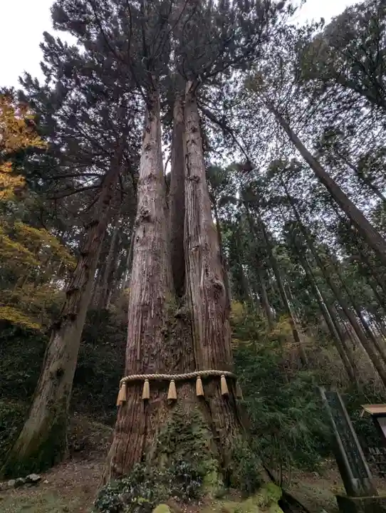 御岩神社(茨城県)