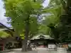 谷保天満宮の{uncategorized: "未分類", other: "その他", undefined: "問題あり", building: "その他建物", grave: "お墓", sacred_gate: "鳥居", guardian: "狛犬", statue: "像", buddha: "仏像", history: "歴史", nature: "自然", garden: "庭園", animal: "動物", pagoda: "塔", temizu: "手水舎", mountain_gate: "山門・神門", sanctuary: "本殿・本堂", subordinate: "末社・摂社", art: "芸術", scenery: "景色", jizo: "地蔵", ema: "絵馬", goshuin: "御朱印", omikuji: "おみくじ", items: "授与品その他", amulet: "お守り", goshuincho: "御朱印帳", eats: "食事", festival: "お祭り", votive_dance: "神楽", shichigosan: "七五三参", wedding: "結婚式", experience: "体験その他", initially: "初詣", around: "周辺", anti_infection: "感染症対策"}