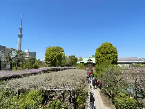 亀戸天神社(東京都)