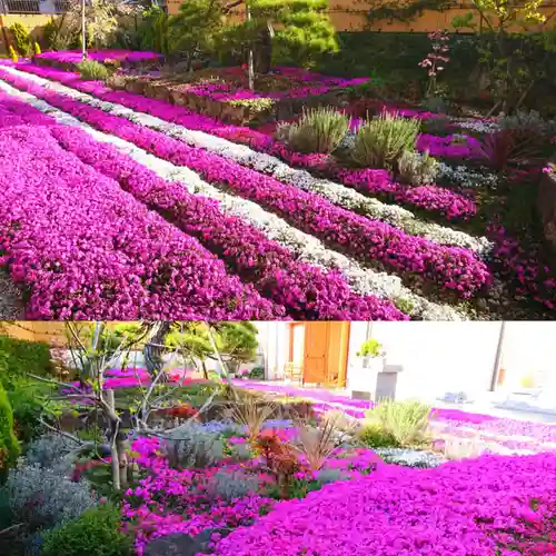 寿量山　速成寺の自然