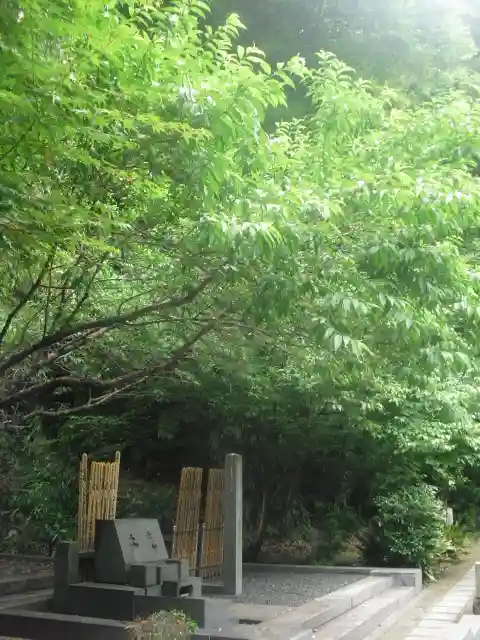 安國論寺(安国論寺)の自然