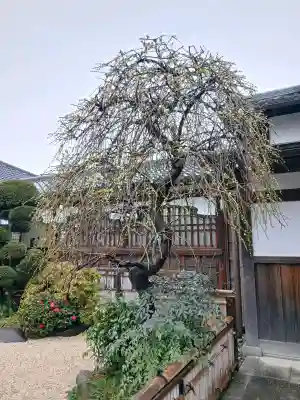 寛永寺(根本中堂)(東京都)
