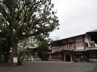 瀬田玉川神社の本殿・本堂