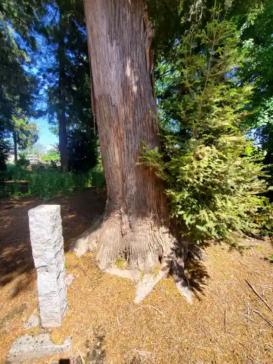 只上神社(群馬県)