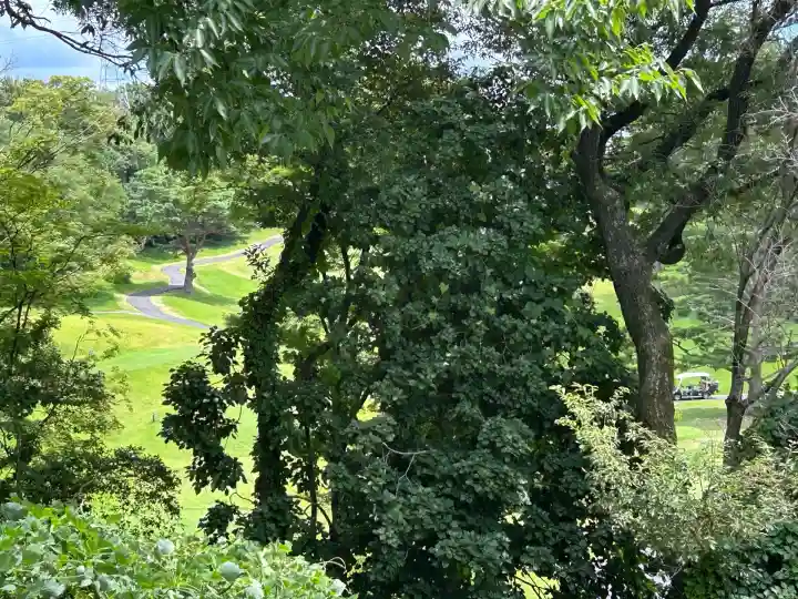 白美龍神社(愛知県)