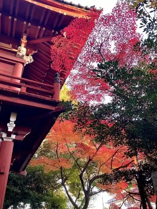 本土寺(千葉県)