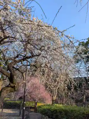 蓮華寺(東京都)