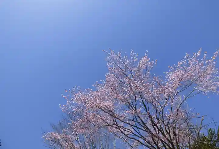留辺蘂神社の自然