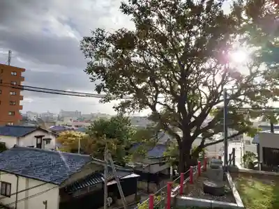 住吉神社(新潟県)