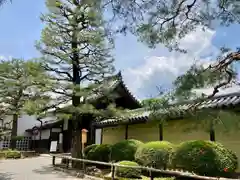 大覚寺の建物その他