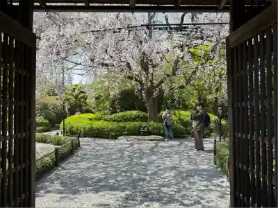 退蔵院(京都府)