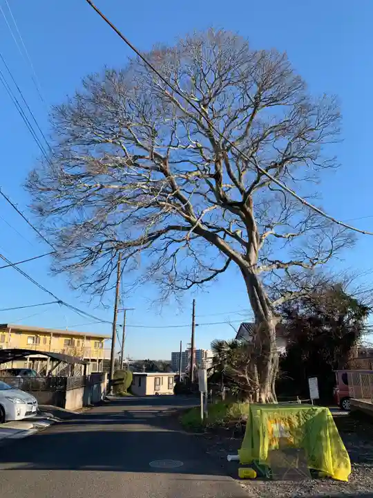 仙元神社(千葉県)