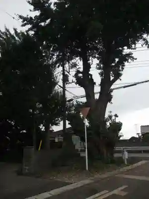 大龍寺(千葉県)