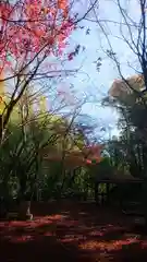 玉野御嶽神社の自然