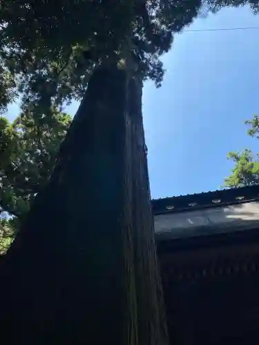 鹿島神宮(茨城県)