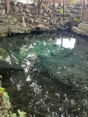 泉神社(茨城県)