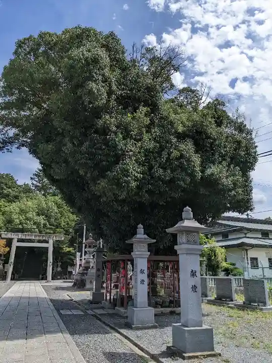 白山神社(二子町)の自然