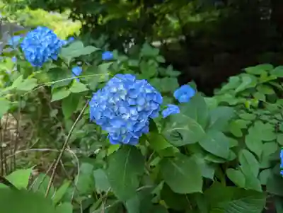  智積院(京都府)