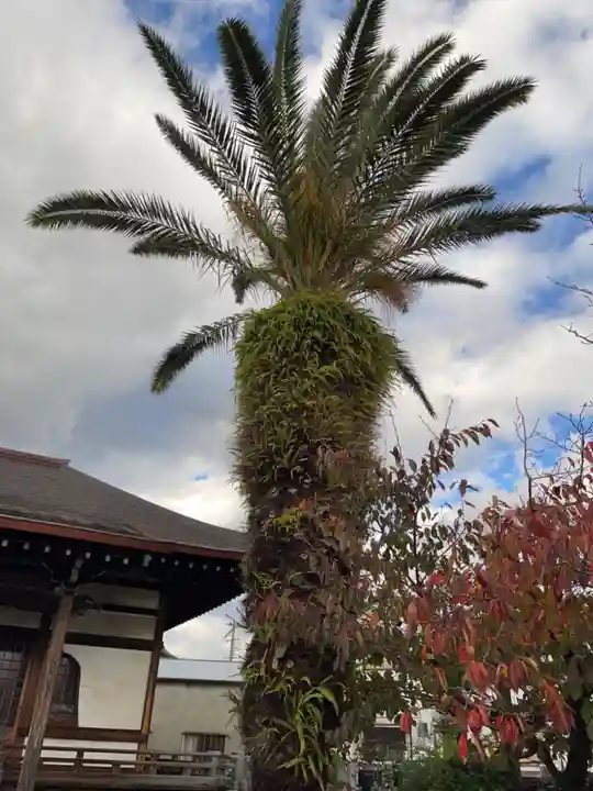 聖徳寺(大阪府)