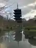 東寺(教王護国寺)の{uncategorized: "未分類", other: "その他", undefined: "問題あり", building: "その他建物", grave: "お墓", sacred_gate: "鳥居", guardian: "狛犬", statue: "像", buddha: "仏像", history: "歴史", nature: "自然", garden: "庭園", animal: "動物", pagoda: "塔", temizu: "手水舎", mountain_gate: "山門・神門", sanctuary: "本殿・本堂", subordinate: "末社・摂社", art: "芸術", scenery: "景色", jizo: "地蔵", ema: "絵馬", goshuin: "御朱印", omikuji: "おみくじ", items: "授与品その他", amulet: "お守り", goshuincho: "御朱印帳", eats: "食事", festival: "お祭り", votive_dance: "神楽", shichigosan: "七五三参", wedding: "結婚式", experience: "体験その他", initially: "初詣", around: "周辺", anti_infection: "感染症対策"}