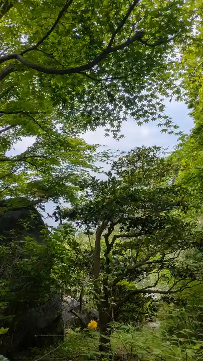 當麻寺奥院(奈良県)