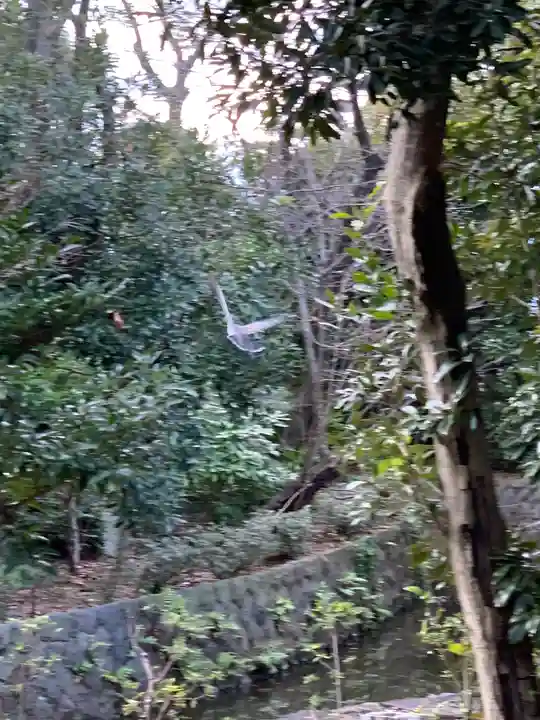 寒川神社のその他建物