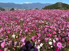 矢彦神社(長野県)