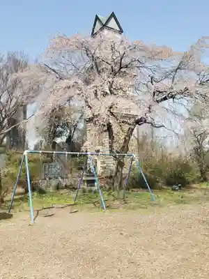 錦着山護国神社の自然