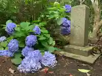 海寳寺(千葉県)