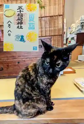 月替り御朱印 8月『涼風』とベティさん😺