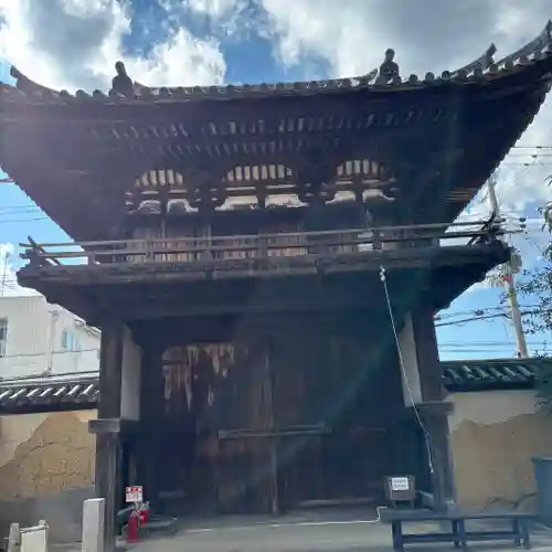 般若寺 ❁﻿コスモス寺❁(奈良県)