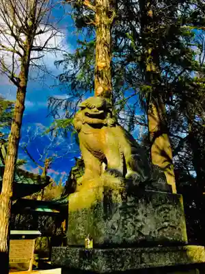 金村別雷神社の狛犬